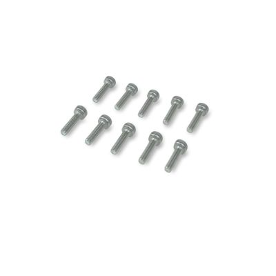 Foil Drive Spare Motor & Puck Bolts (M3 12mm)