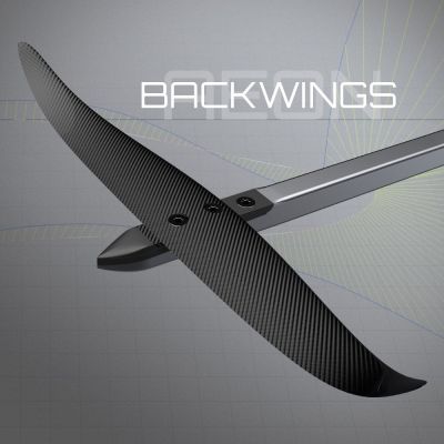 Patrik AEON Backwing