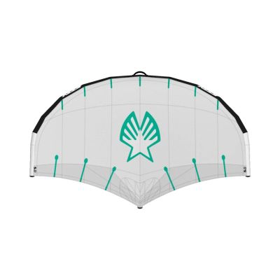 Ezzy Flight Wing V2  (2 Handels)