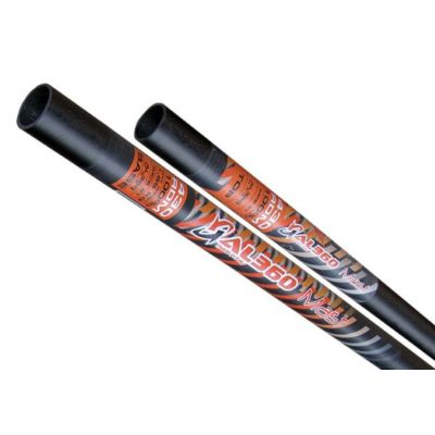 AL360 C100 RDM Mast