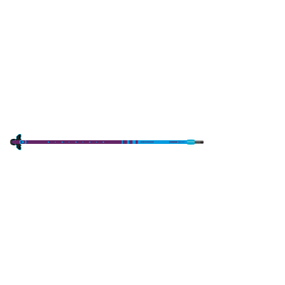 NeilPryde Carbon 25